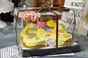 IMGP3631.JPG